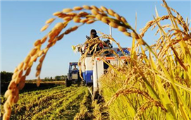 农业供给侧改革发展论坛