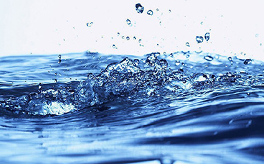 本期辟谣论坛发布 三大 谣  言