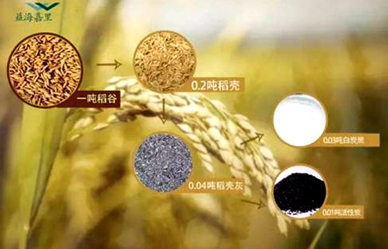 益海嘉里六大科技成果亮相