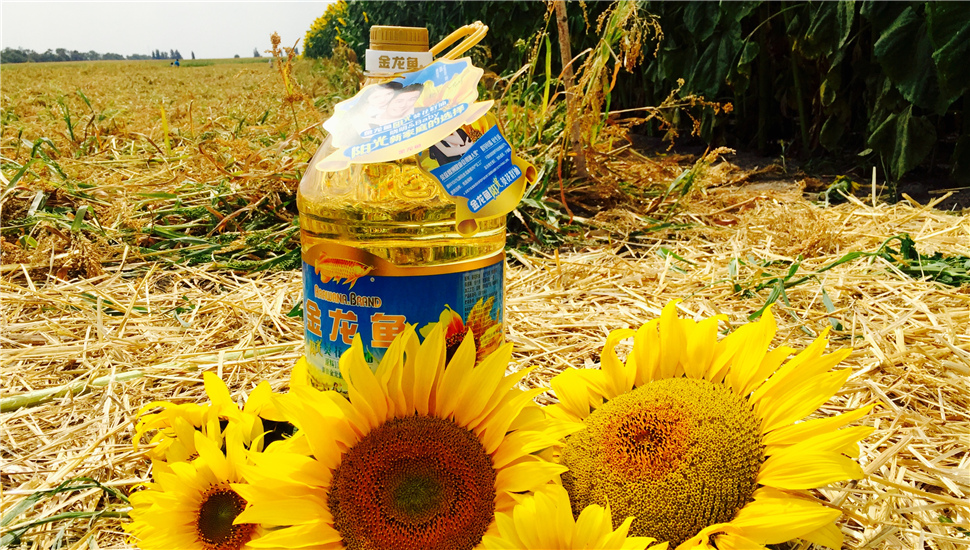 金龙鱼阳光葵花籽油欧洲产区工厂鉴证之旅