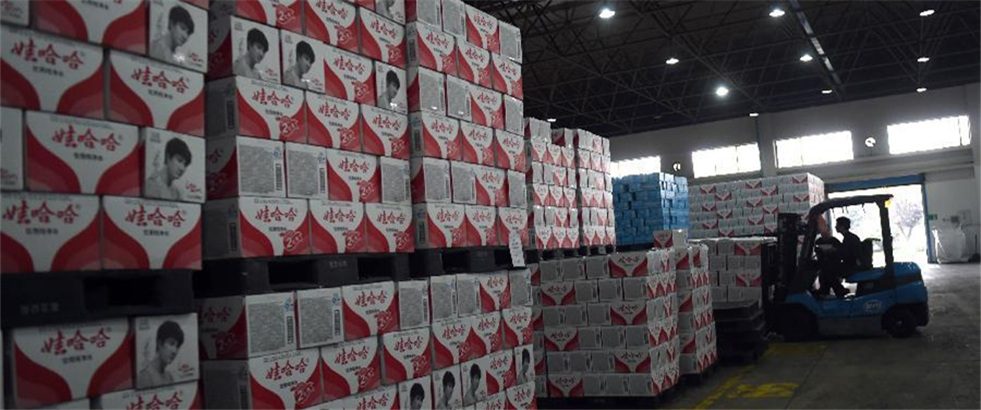 金龙鱼阳光葵花籽油欧洲产区工厂鉴证之旅