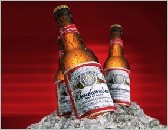 百威英博启动&ldquo;新文化运动&rdquo;