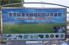 遼寧盤山全力打造“龍型”現代農業示范帶