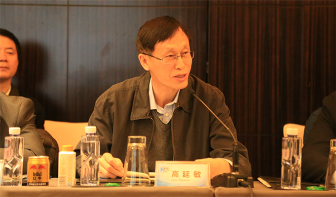 工业和信息化部消费品司司长高延敏