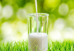 全国奶业发展规划发布