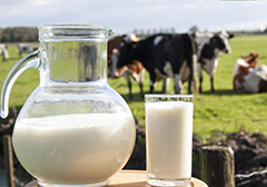 全國奶業發展規劃發布