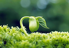 一号文件为农业发展添动能