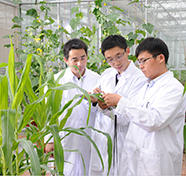 万连步:加强现代农技推广促进精准扶贫