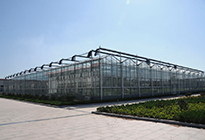 从&ldquo;追赶者&rdquo;到&ldquo;领跑者&rdquo;