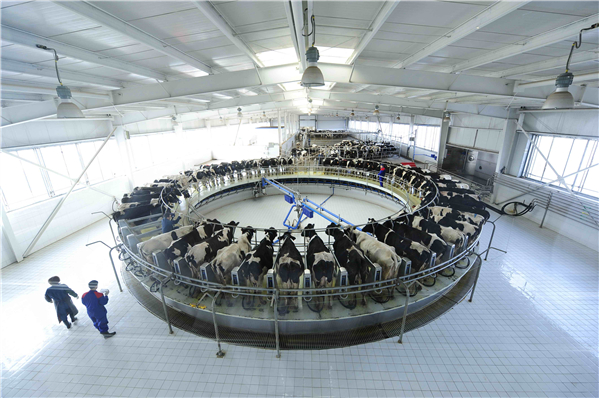 什么样的企业才是世界商业教科书？