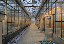 国际缓控释肥生产有了"中国标准"