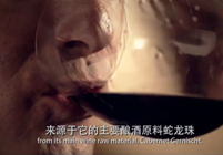 被国际广泛认可的原料&mdash;&mdash;蛇龙珠