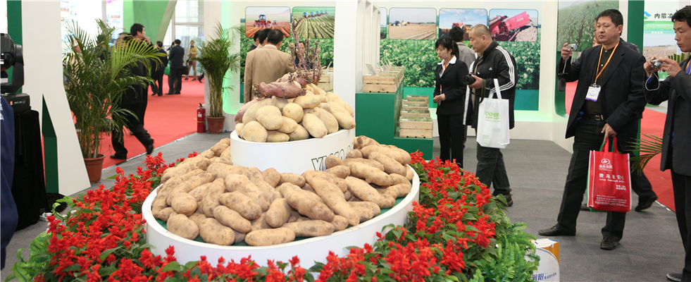 助力成长，见证繁荣 ——中国国际薯业博览会走过的八年