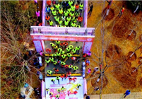 春风四十里精彩不如你 2017山东首届地标马拉松系列赛首站告捷