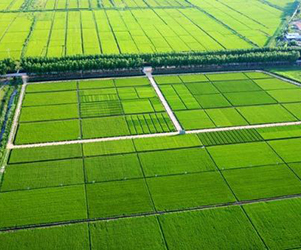 农业部发布第一批国家农产品质量安全县（市）名单