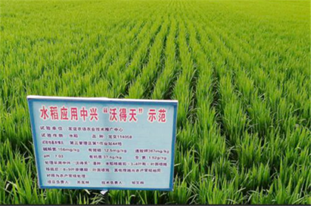 专研科学核心技术 全面提升农业品质