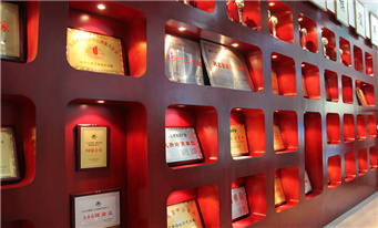 河北硅谷化工有限公司