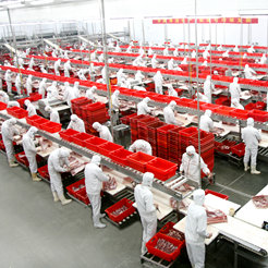 双汇：食安天下 不忘初心