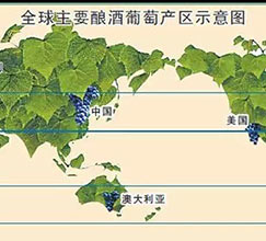 一场伟大的葡萄酒世界变革