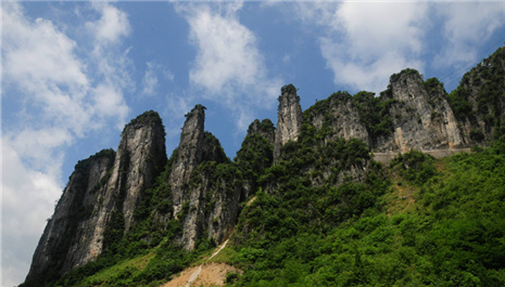 江西：释放先进能量 推动质量提升