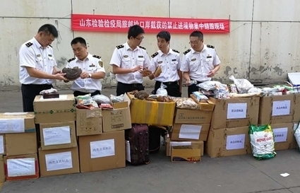 山东&ldquo;质量月&rdquo;：集中销毁截获的禁止携带邮寄进境物