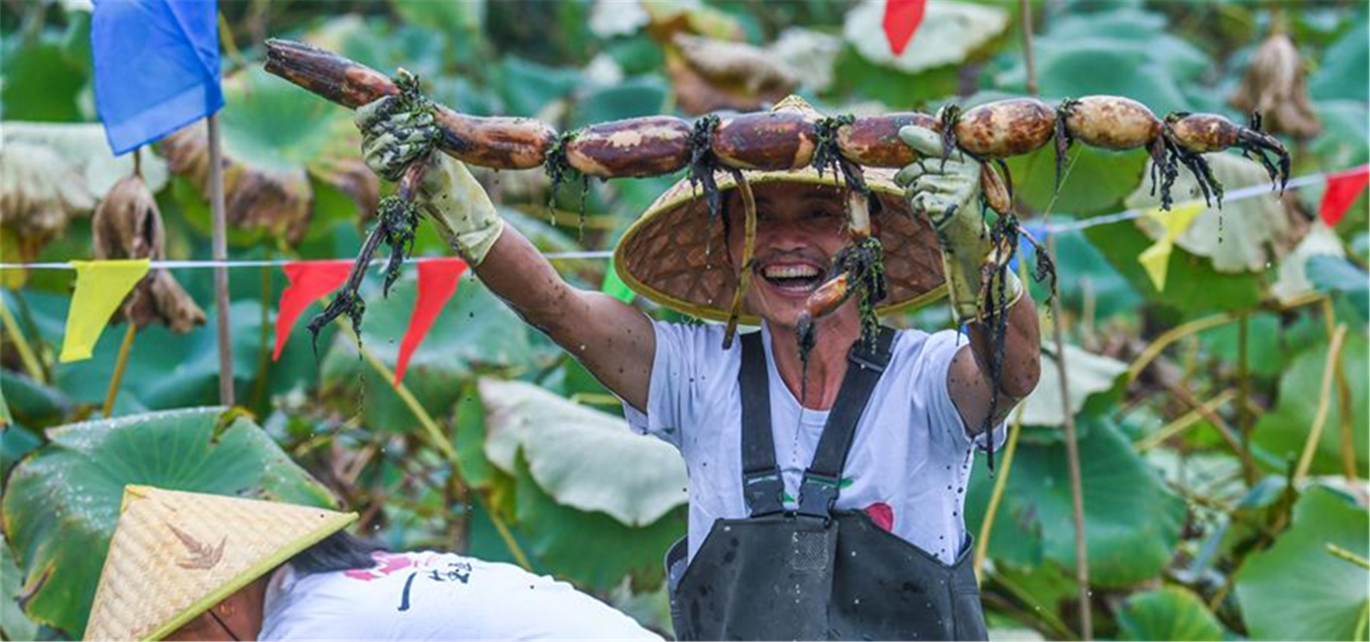 浙江湖州：“慶豐收·迎國慶”村民比賽挖蓮藕