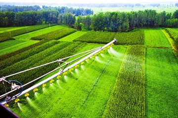 新华食品_新华网