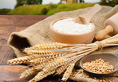 严查小麦粉非法添加