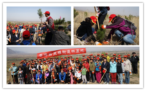 蔚县翠屏山益海嘉里植树造林基地