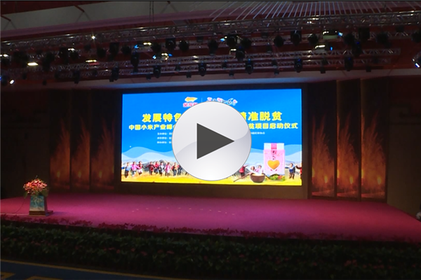 益海嘉里蔚县精准扶贫项目启动仪式