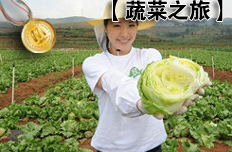 奥运冠军罗雪娟展示爽脆蔬菜收割成果