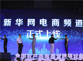 2017全国农产品电商发展研讨会