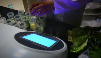 放心食材 杭州味道