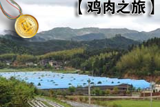 空气清新，环境舒适的养鸡场