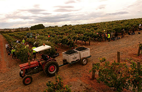 张裕收购的歌浓被帕克誉为&ldquo;澳大利亚最杰出的酒庄之一&rdquo;