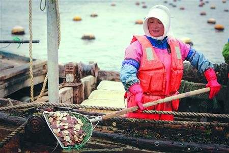 獐子岛回复深交所：春秋季抽测未发现减值风险合理