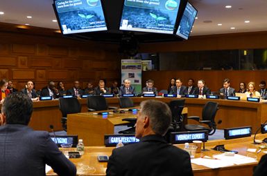 金正大参与成立世界亲土种植联盟