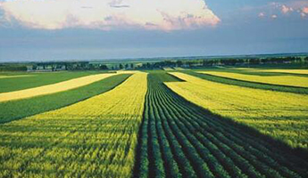 中国农业服务行业临爆发节点