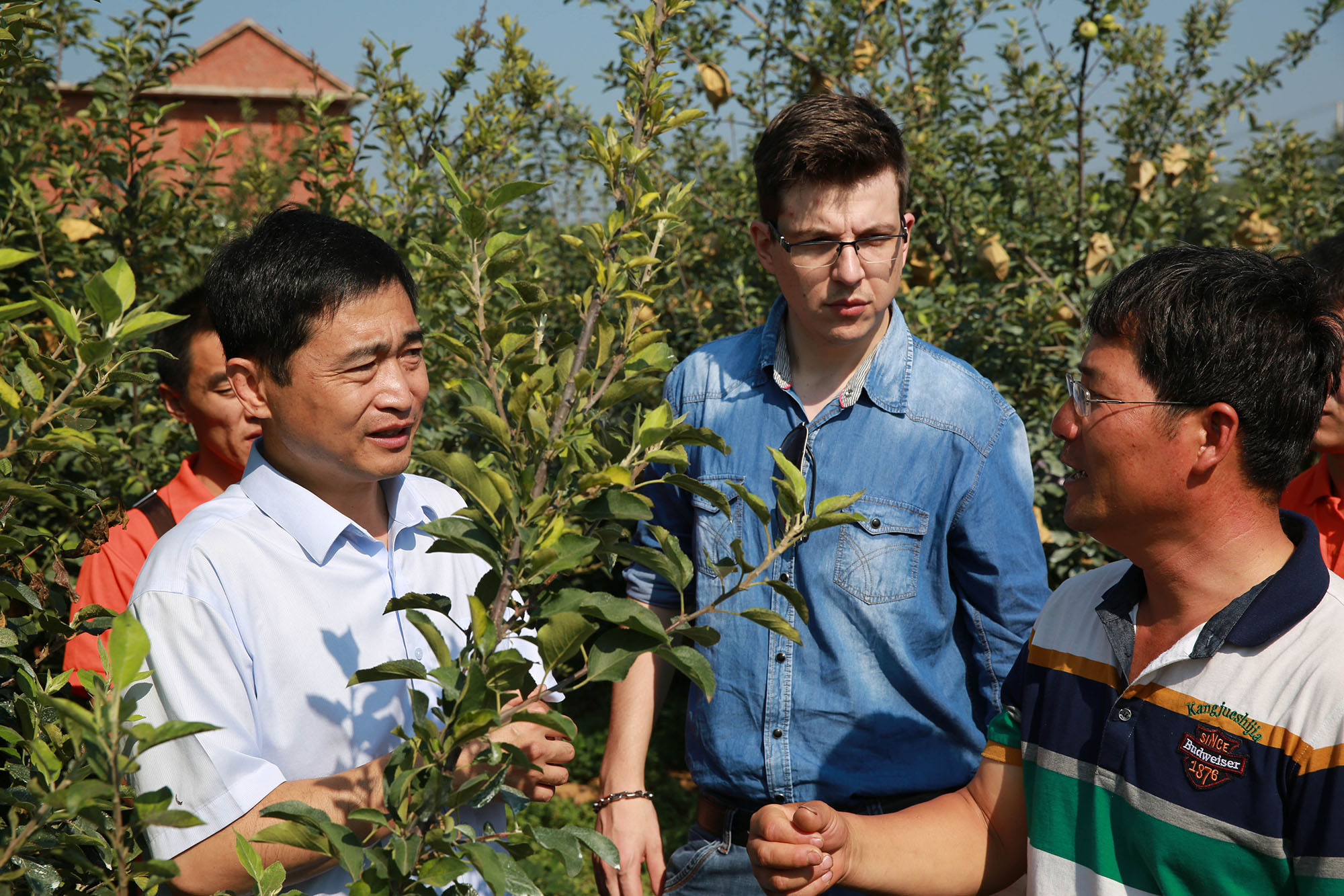 世界领先的“作物营养管理方案”来了