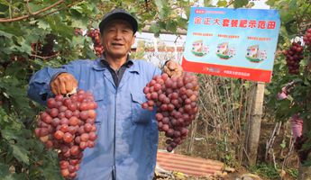 中国种植业进入“作物营养解决方案”新时代