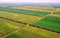 走遍中国:海外嫁接为双赢