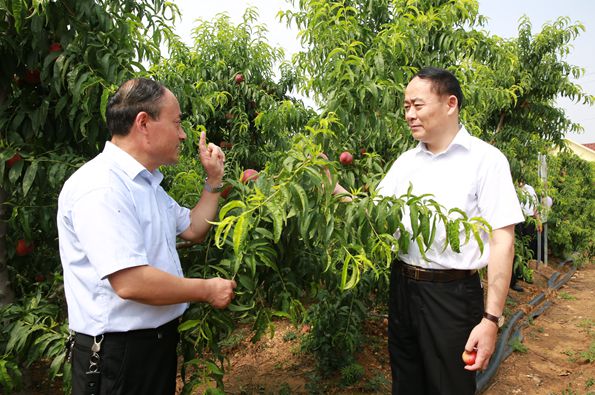 全国人大代表、金正大集团董事长万连步在农业一线调研