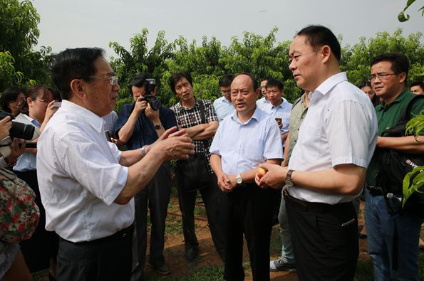 全国人大代表、金正大集团董事长万连步在田间调研