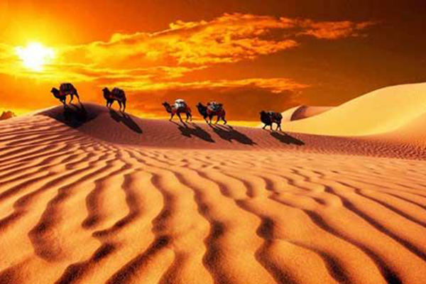 五粮液借助&ldquo;一带一路&rdquo;倡议 推动中国酒文化走出去