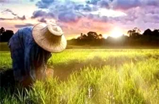 下好农村三产融合发展&ldquo;一盘棋&rdquo;