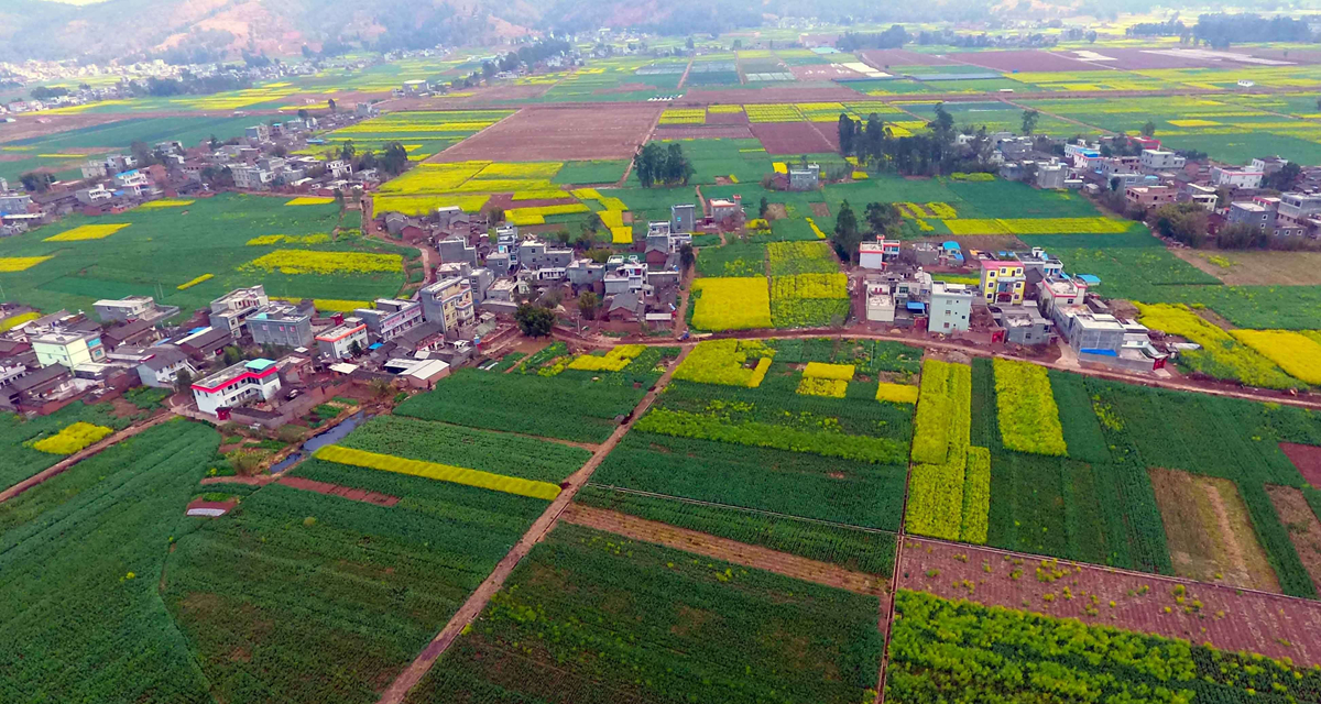 云南姚安：乡村秀美 田园风光