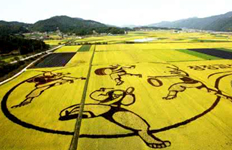 为耕耘充电 让种田更炫