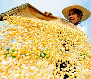 共享丰收喜悦，约吗？