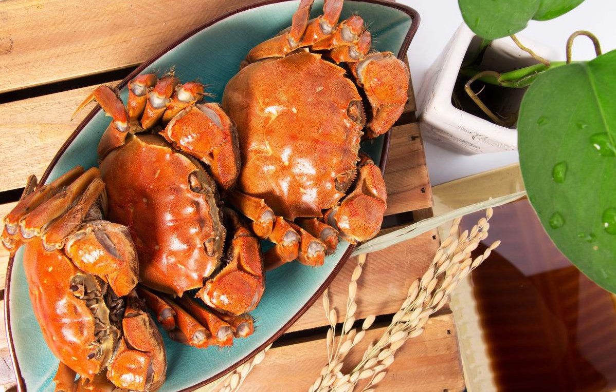 阳澄湖大闸蟹今日开捕！ 教你一招辨别冒牌货