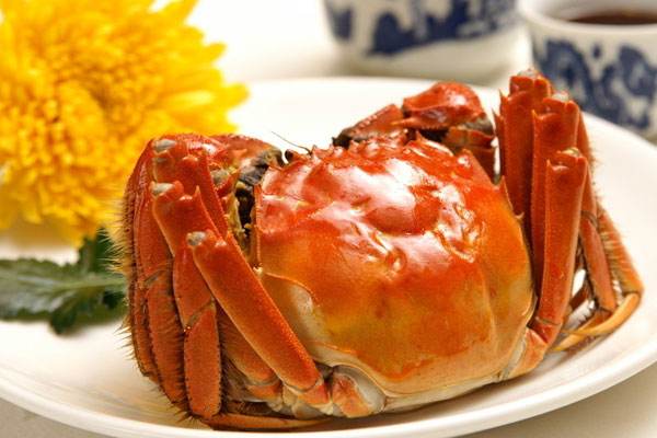 阳澄湖开湖 电商巨头抢当主角